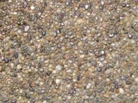 exposed aggregate medford oregon, exposed aggregate concrete medford